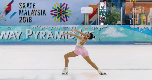 A description of the image