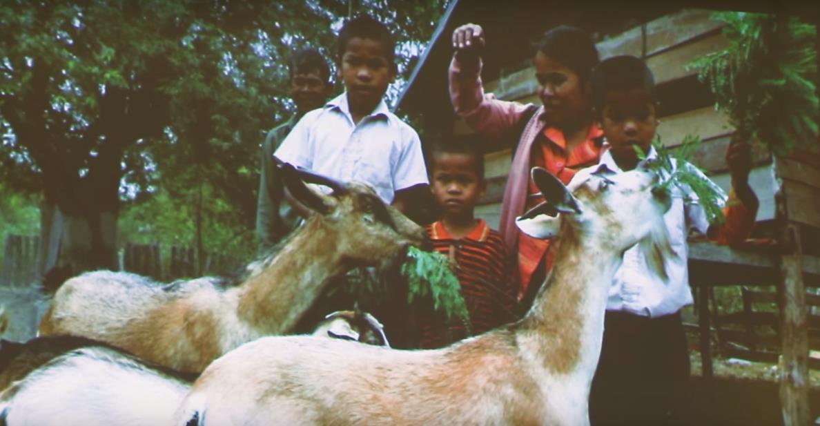 A description of the image