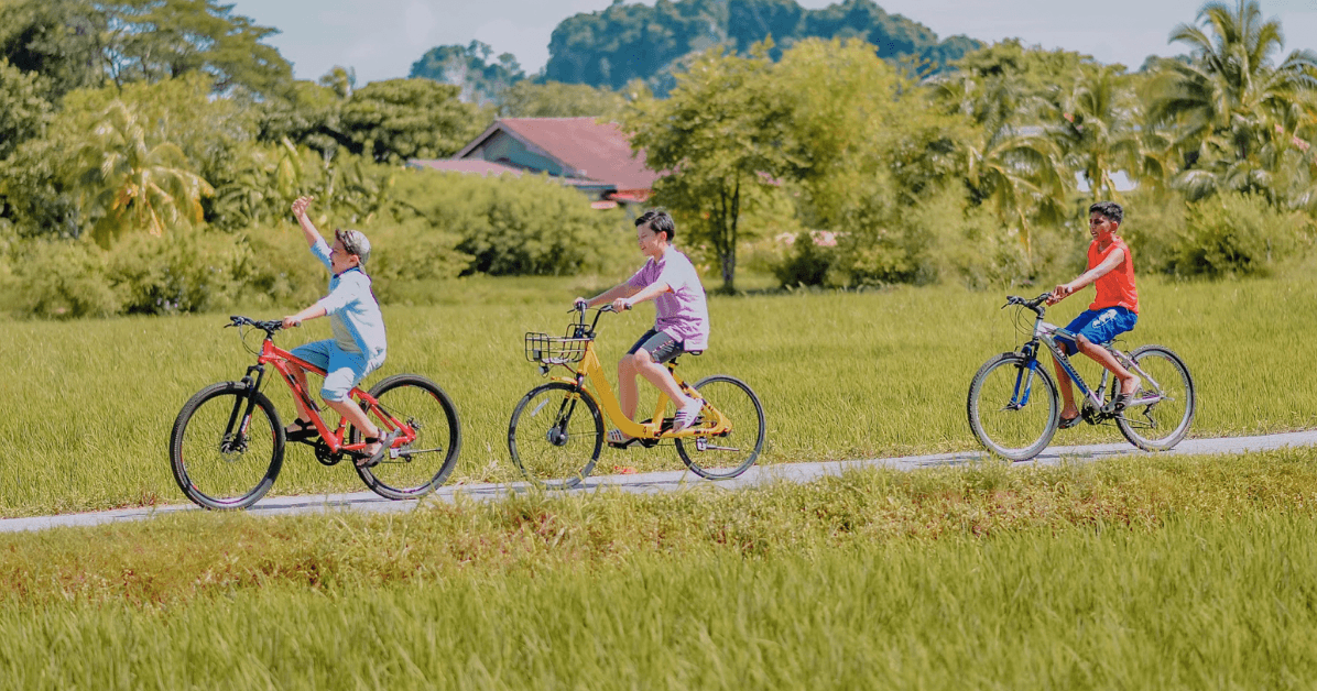 A description of the image