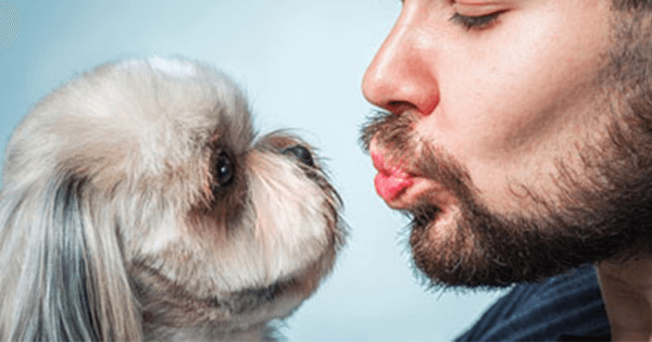 A description of the image