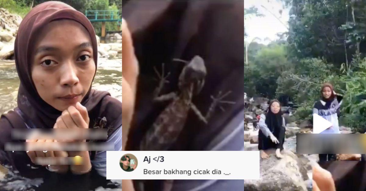 A description of the image