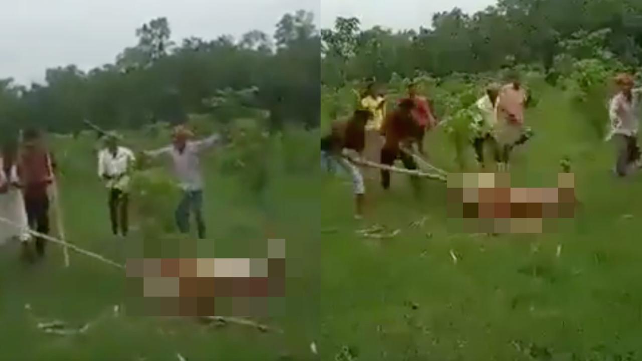 A description of the image