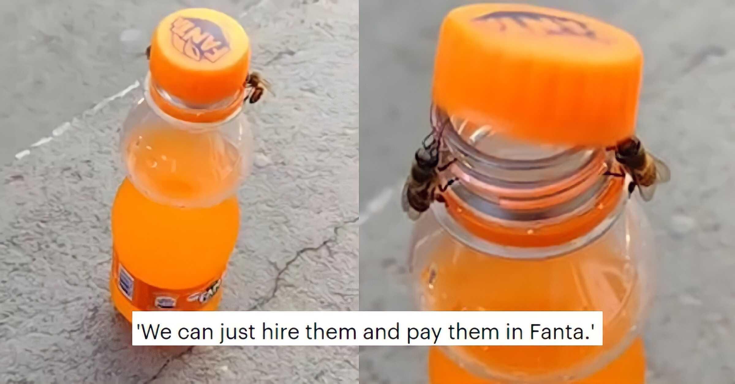 A description of the image