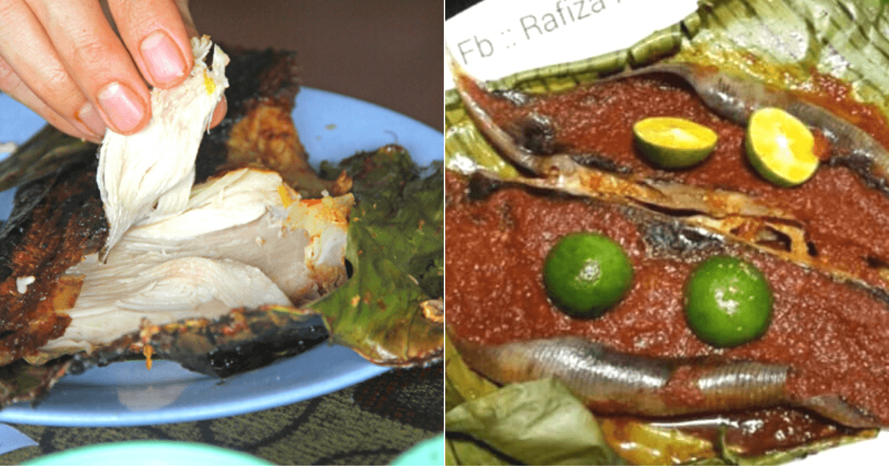 A description of the image