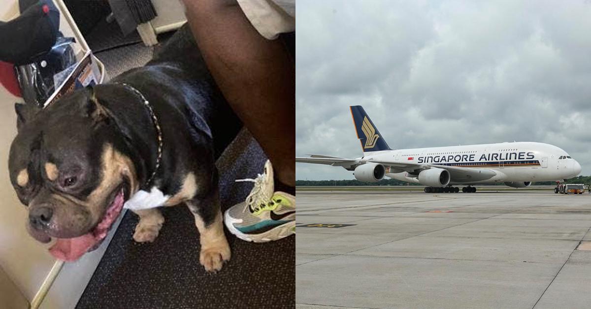 A description of the image