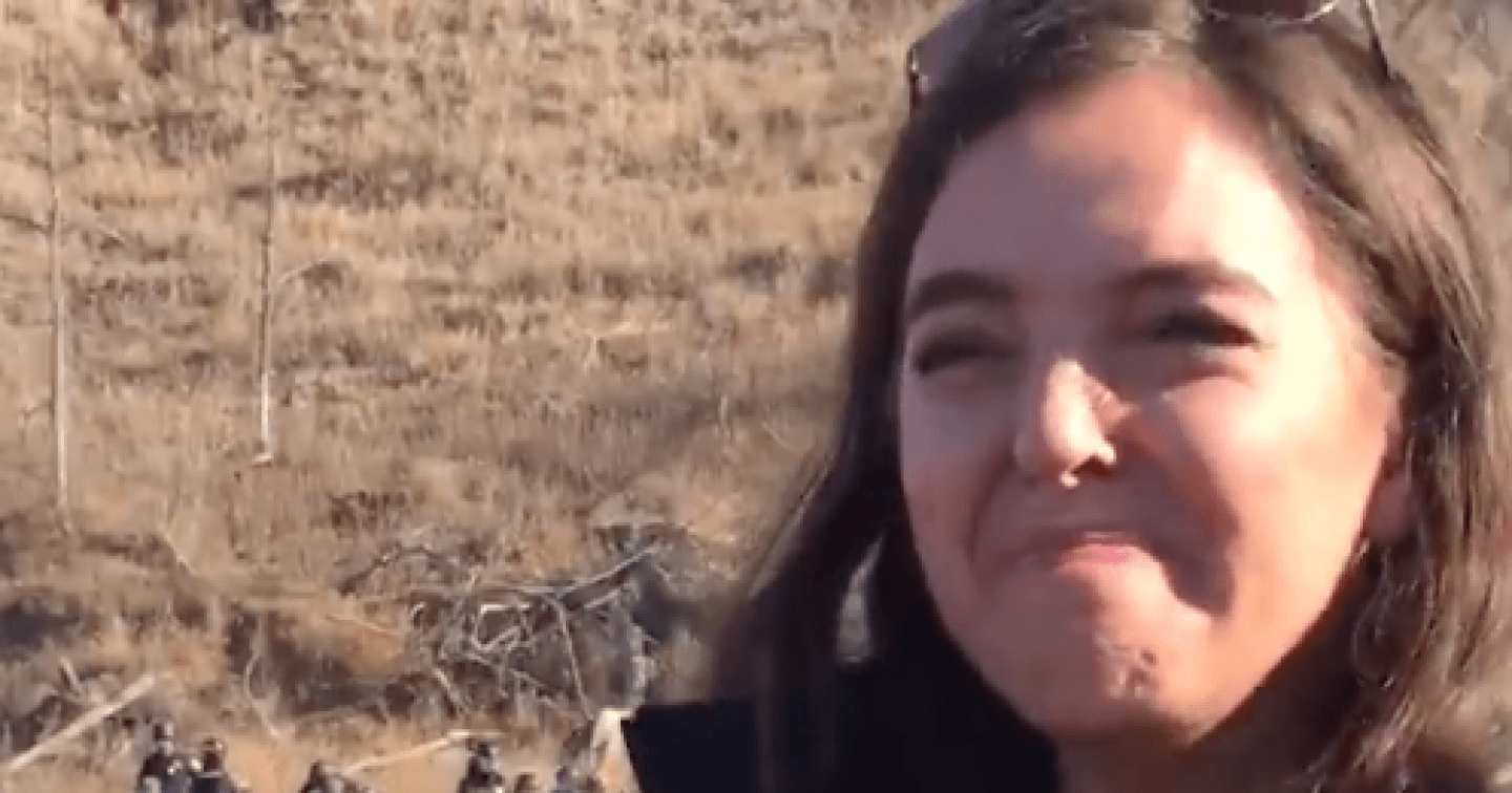 A description of the image