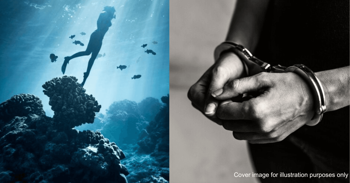 A description of the image