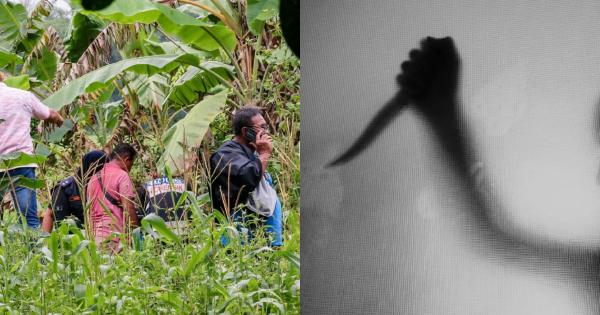 A description of the image