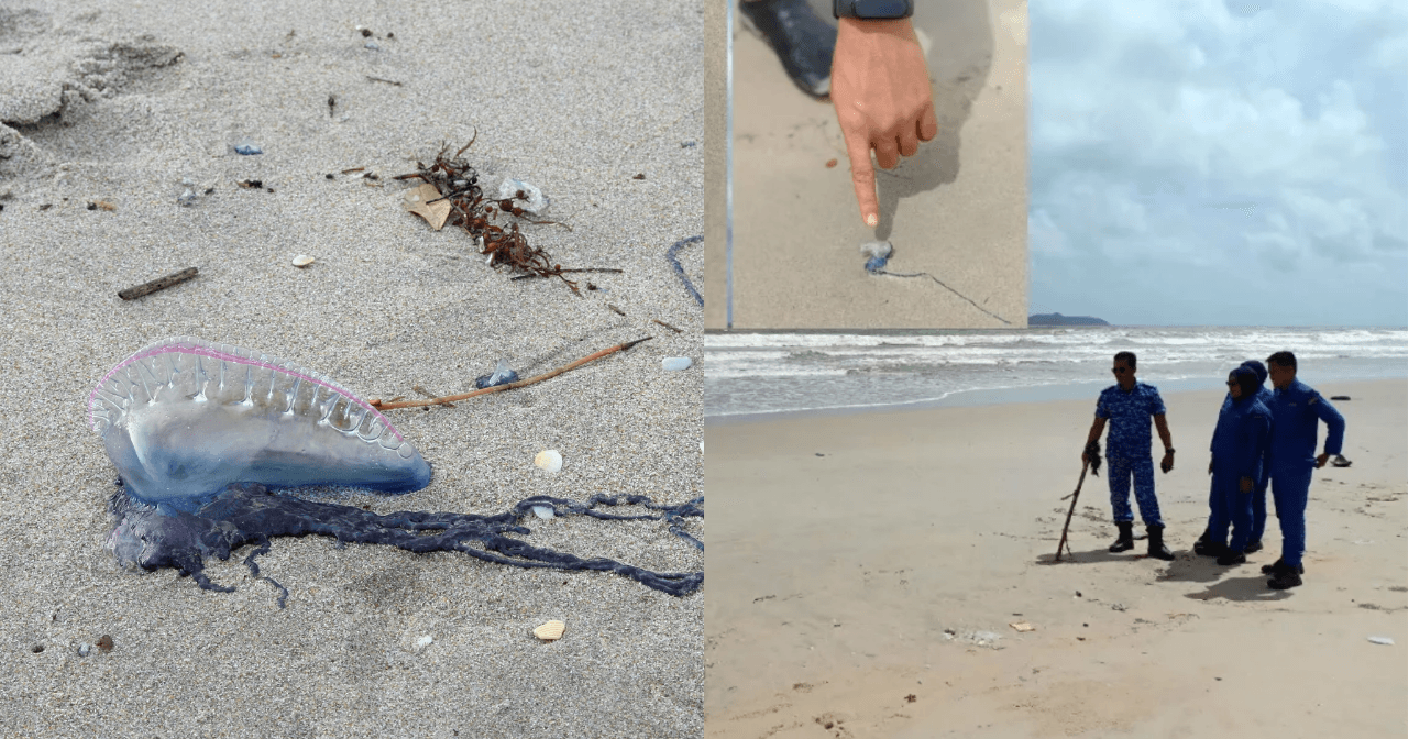 A description of the image