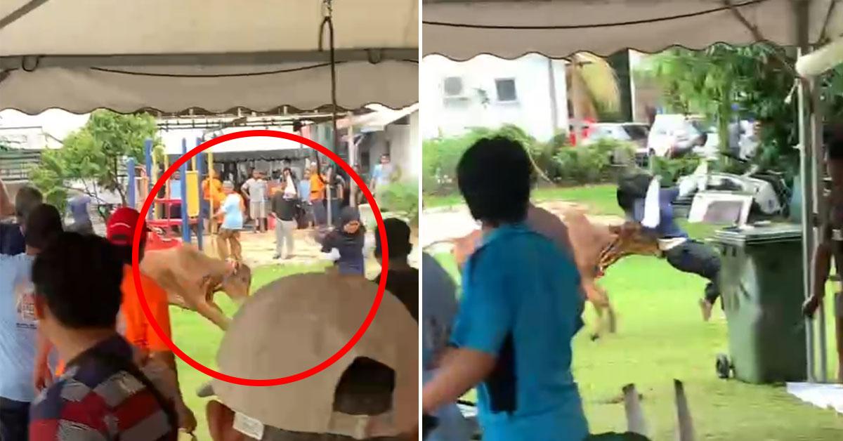 A description of the image