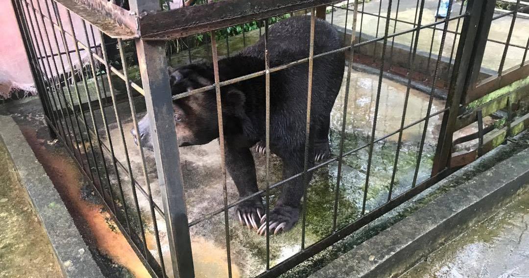 A description of the image