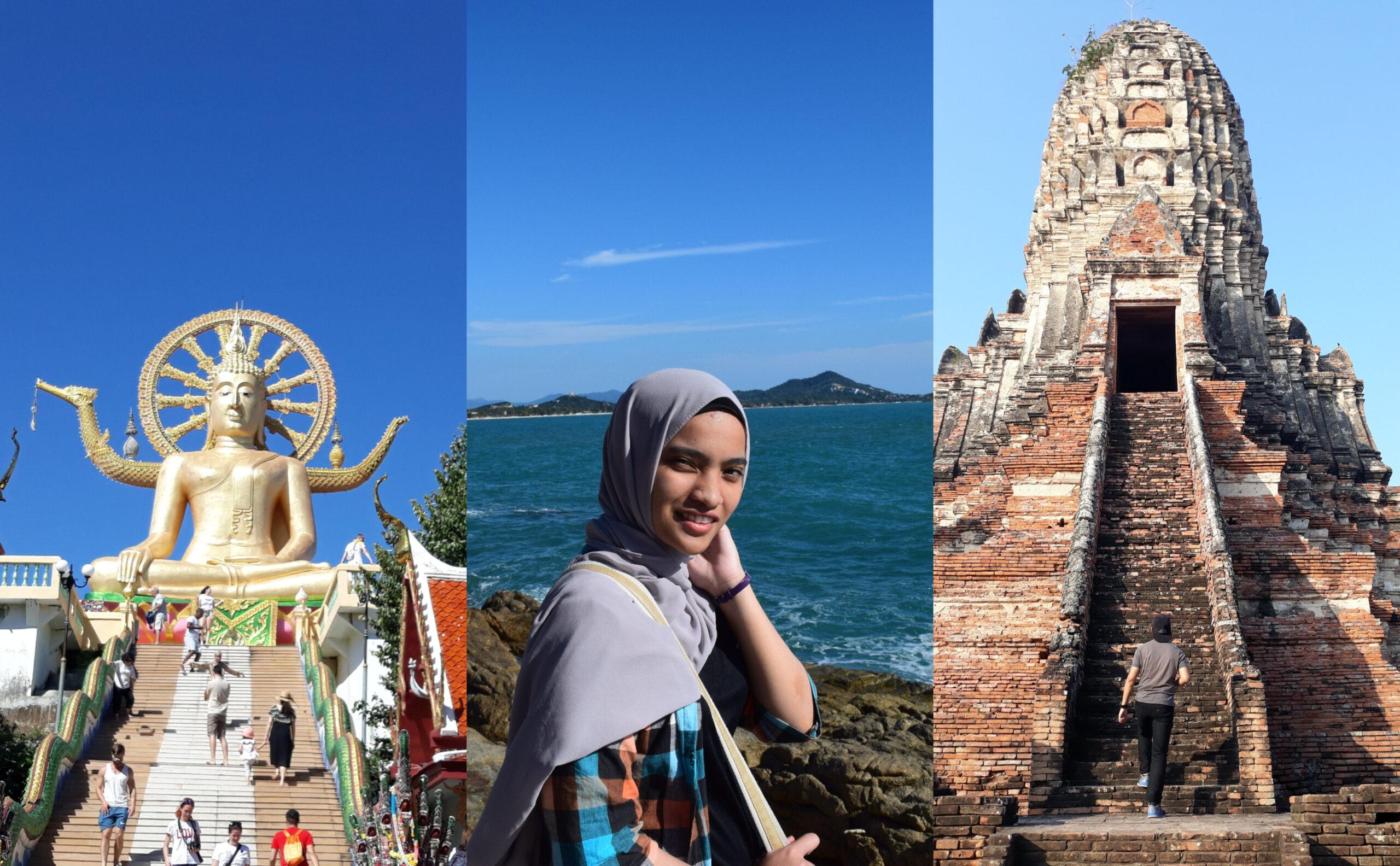 A description of the image