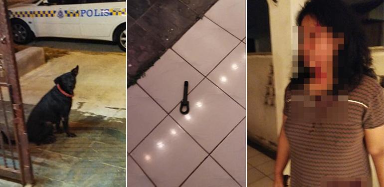 A description of the image