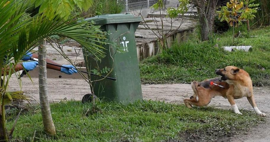 A description of the image