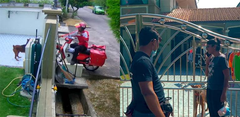 A description of the image