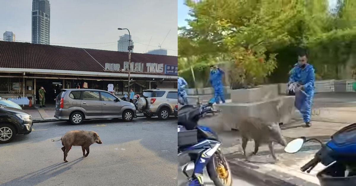 A description of the image