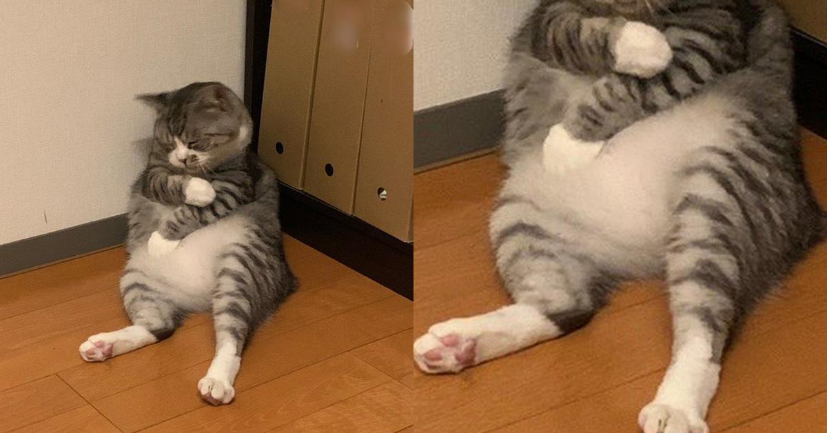 A description of the image