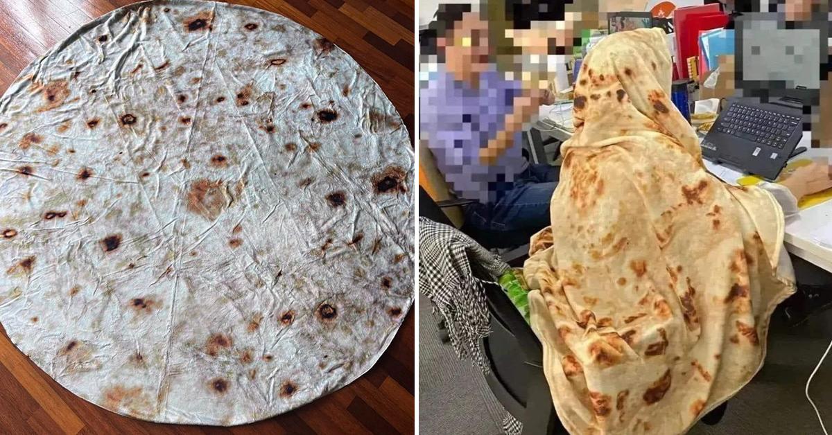 A description of the image