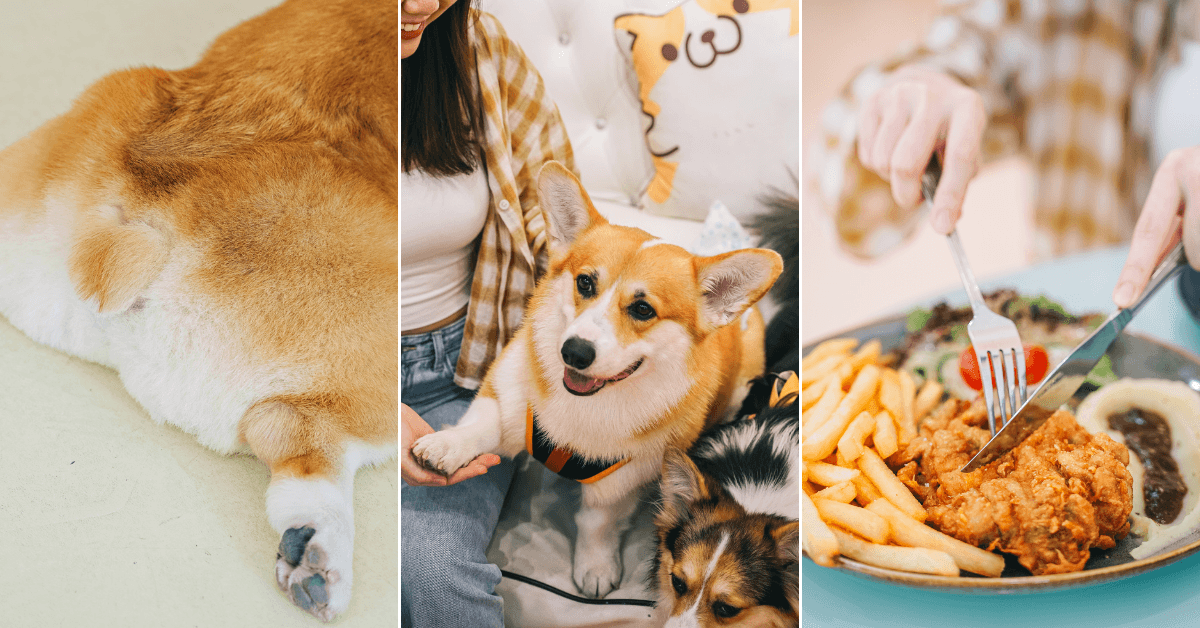 A description of the image