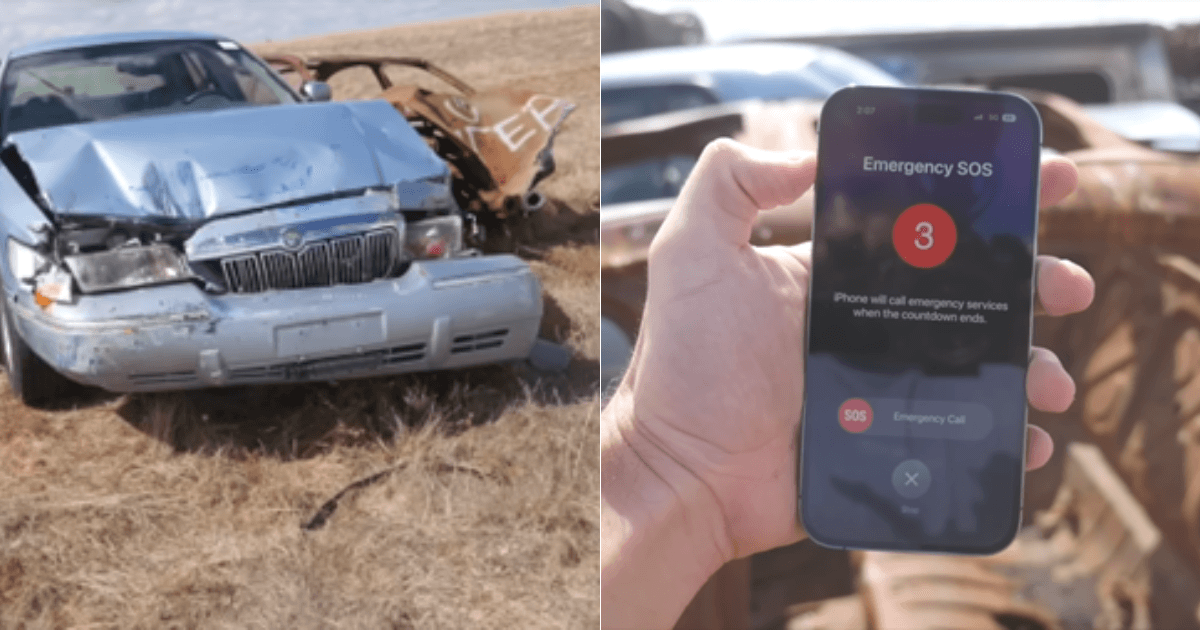 A description of the image