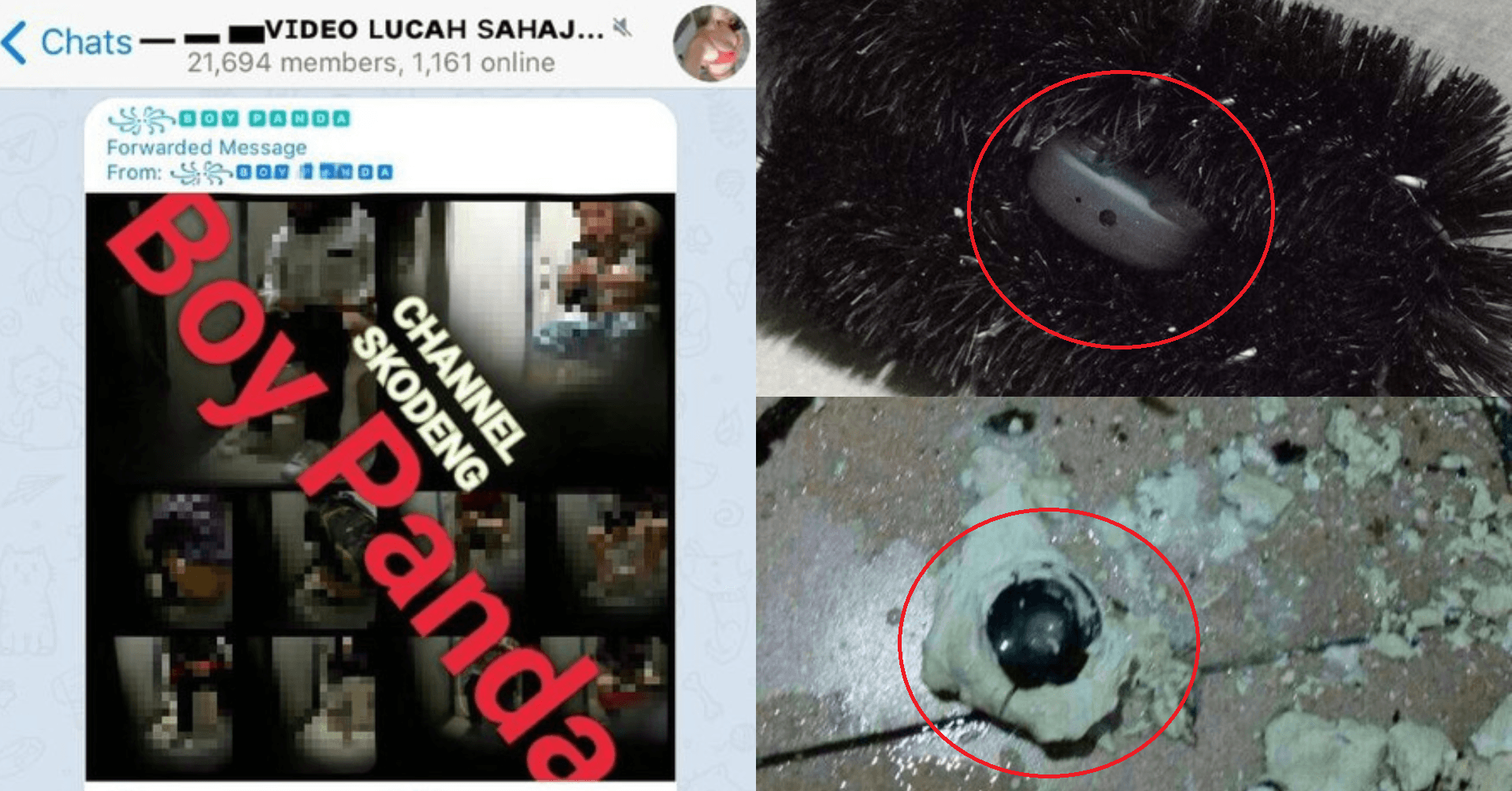 A description of the image