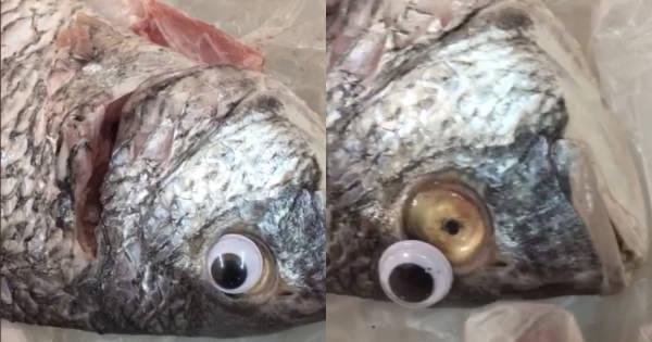 A description of the image