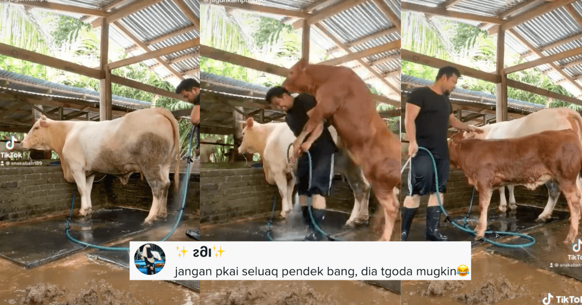 A description of the image