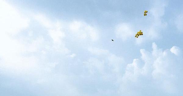 A description of the image