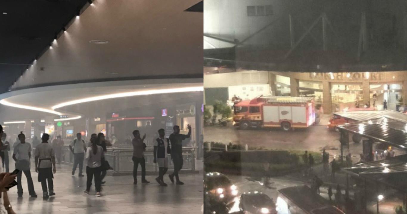 A description of the image