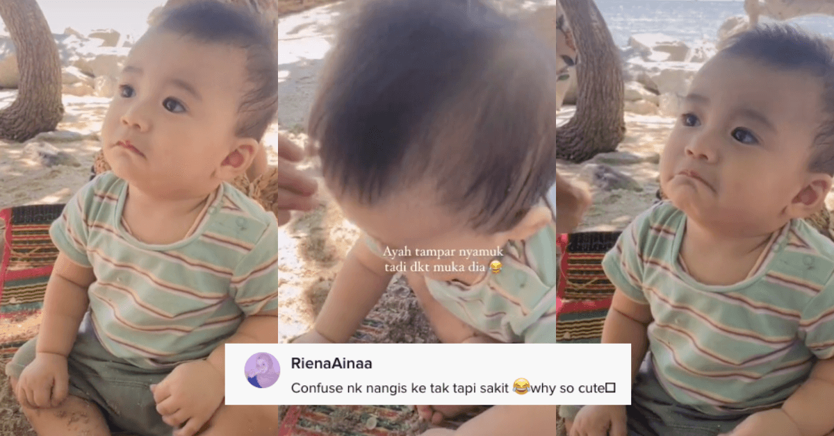 A description of the image