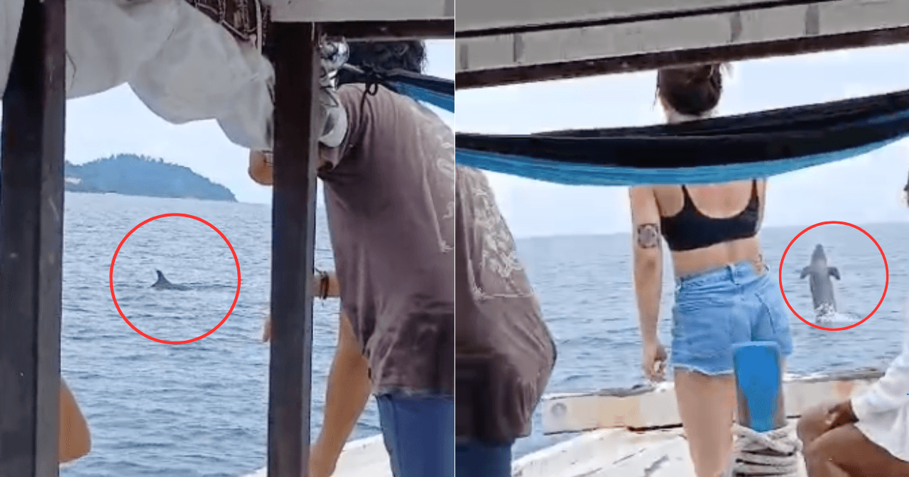 A description of the image