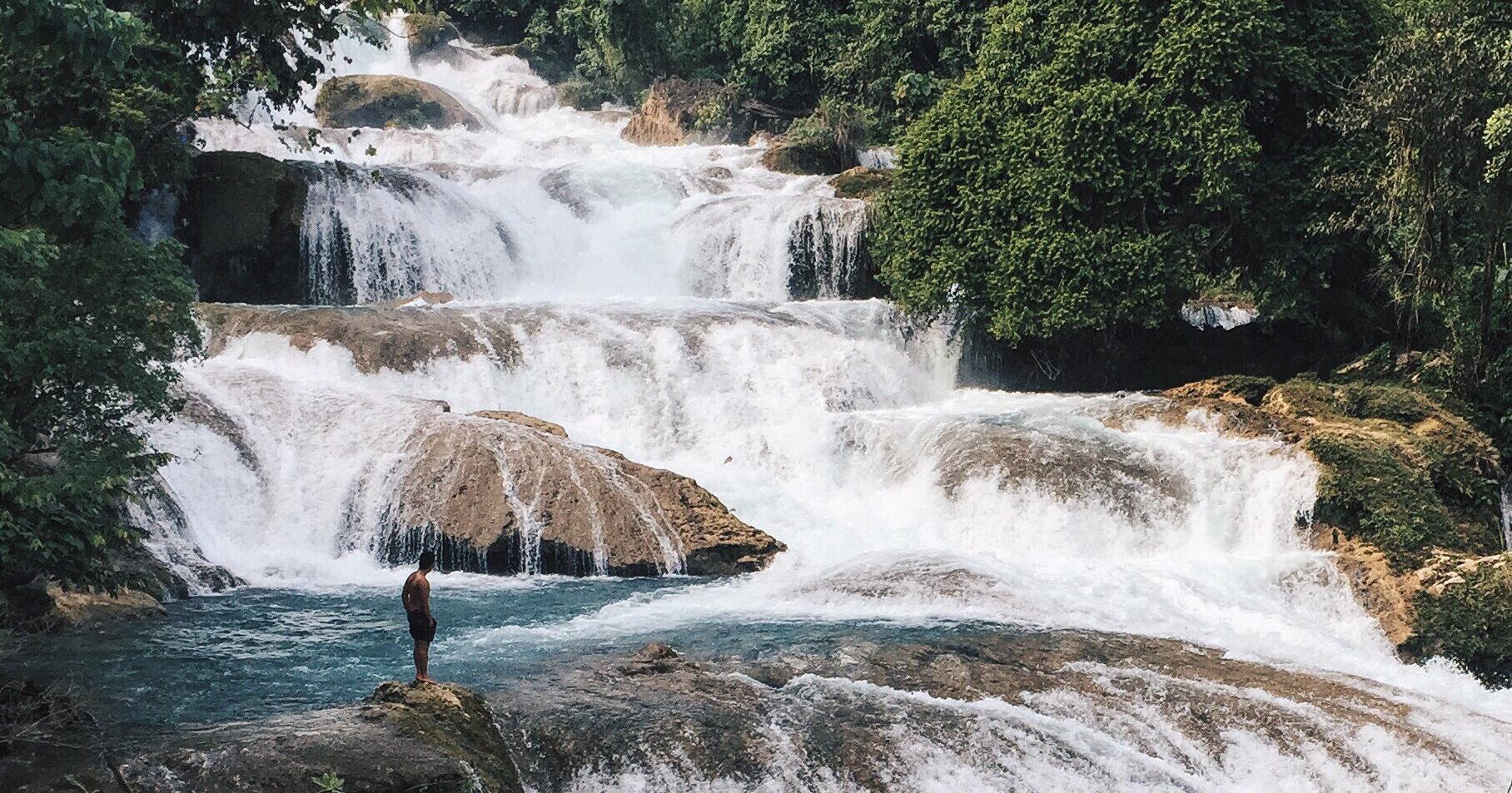 A description of the image