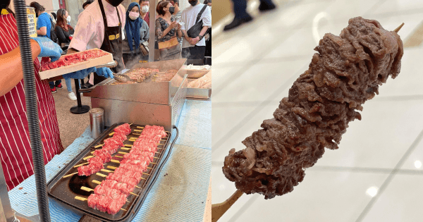 A description of the image