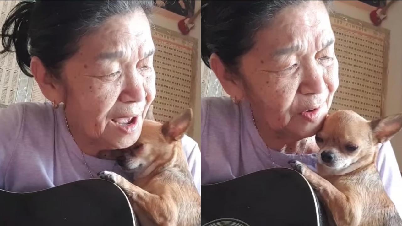 A description of the image