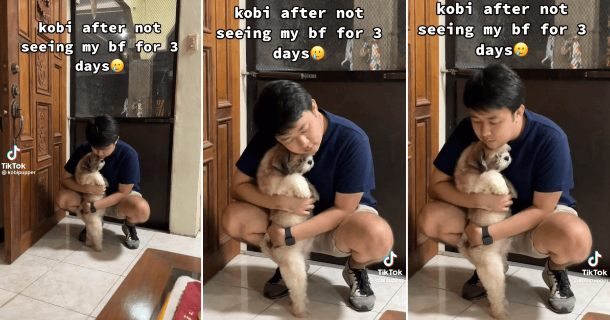 A description of the image