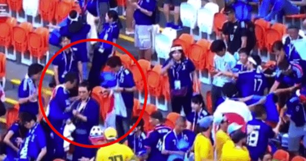 A description of the image