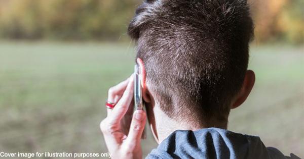 A description of the image