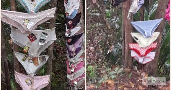 A description of the image