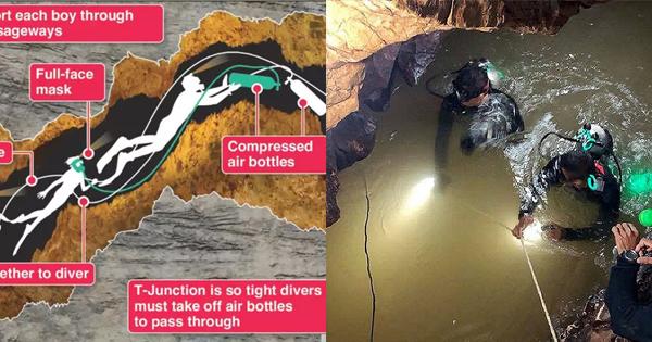 A description of the image