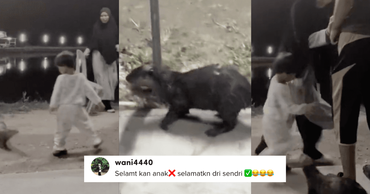 A description of the image