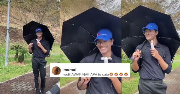 A description of the image