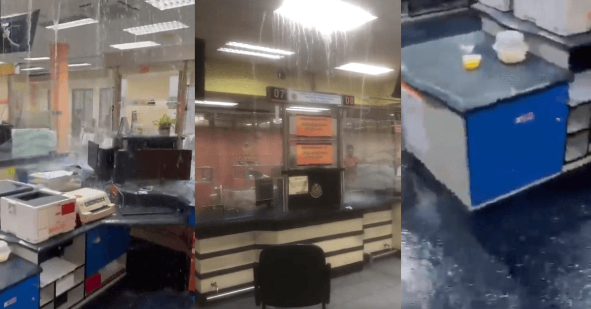 A description of the image