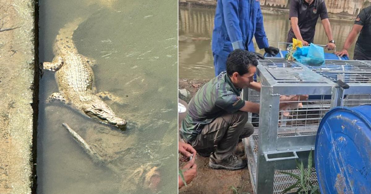 A description of the image