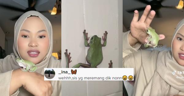 A description of the image