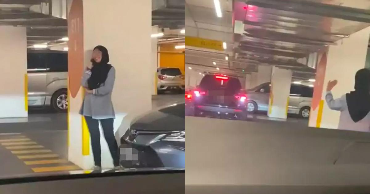 A description of the image