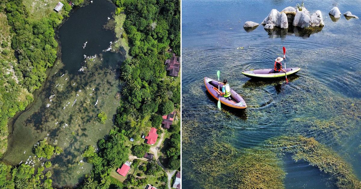 A description of the image