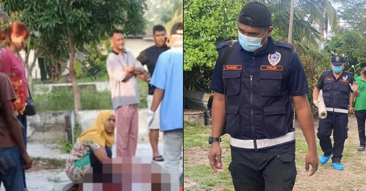 A description of the image