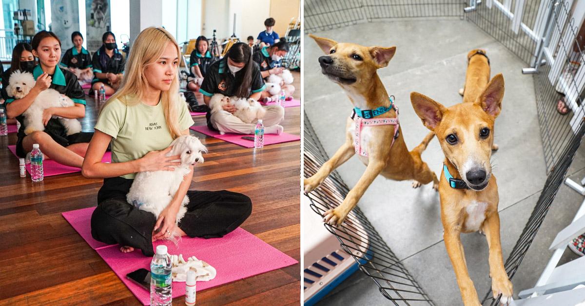 A description of the image