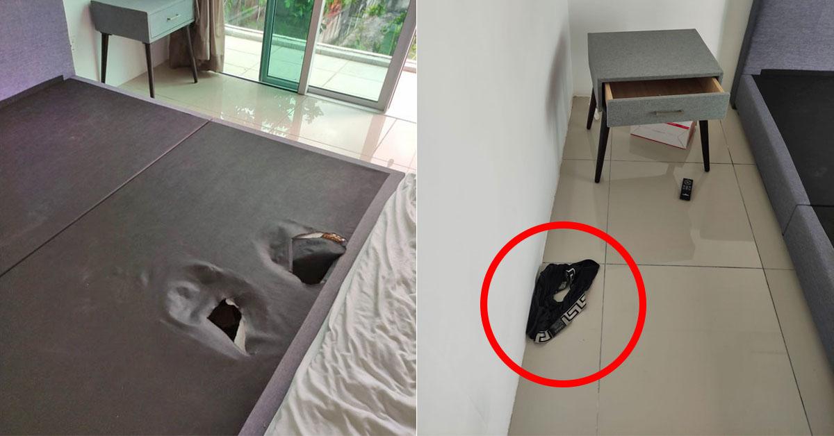 A description of the image