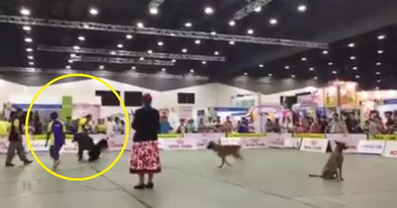 A description of the image